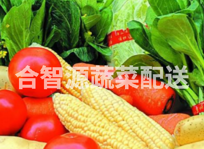 專業(yè)食材配送